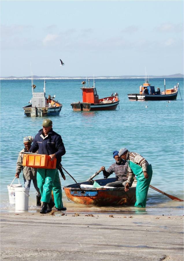 Oceans Guest House&Luxurious Apartments Struisbaai Extérieur photo
